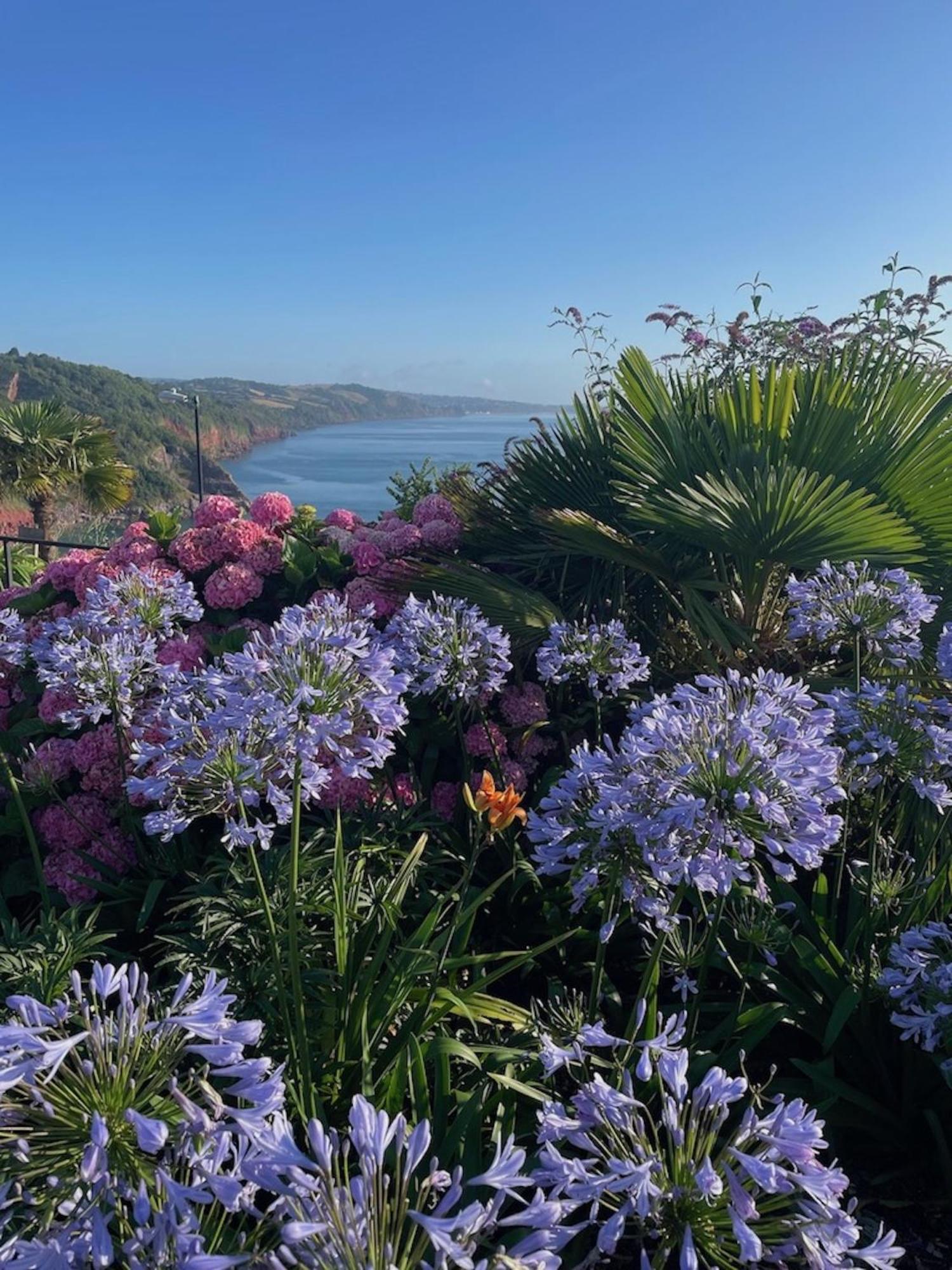 Headland View Boutique B&B Torquay Eksteriør billede